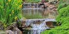 Japanese Garden - Cowra 